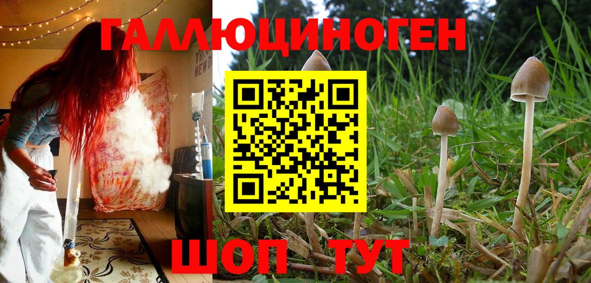 Галлюциногенные грибы мухоморы  Вход с VPN  Вышний Волочёк 